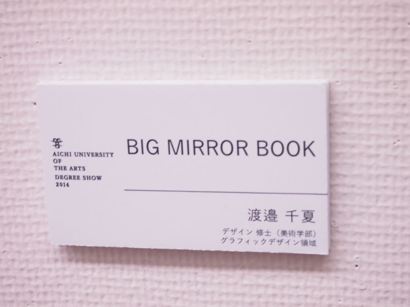 Big Mirror Book２