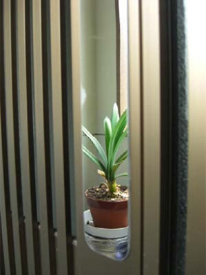 割れない樹脂ミラー