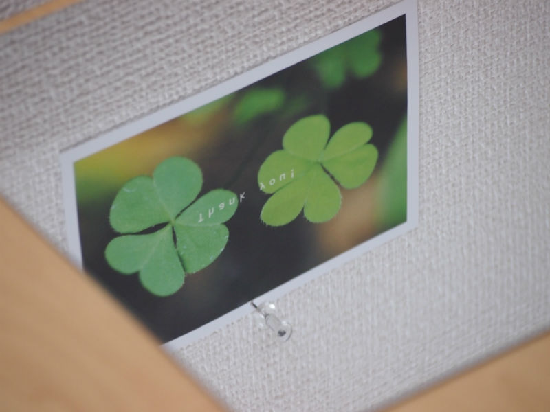 MP-T 　2　アップ